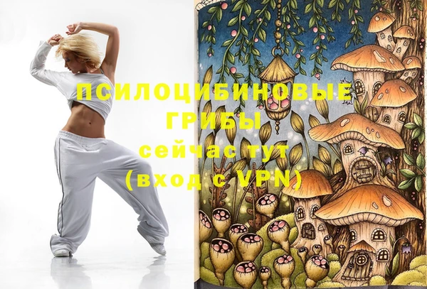 скорость Вяземский