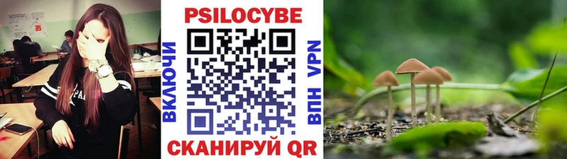 Псилоцибиновые грибы ЛСД  купить  цена  MEGA маркетплейс  Жуков 